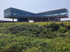 -涉地可支