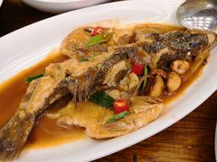 家烧海鲈鱼-必点海鲜·鲅鱼水饺(鞍山西道店)