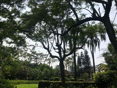 -南沙蒲洲花园