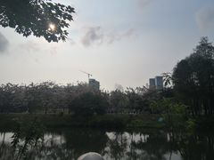 -四海公园(南山区)