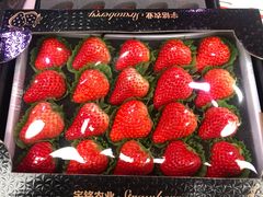-双福水果批发市场