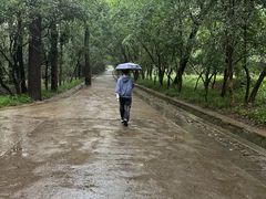 -灵谷景区