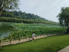 -南戴河国际娱乐中心