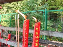 -吴越荣记苏州菜·松鼠桂鱼(月光码头店)