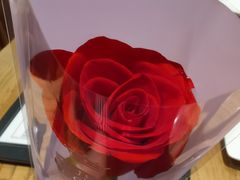 -安妮意大利餐厅(世贸天阶店)
