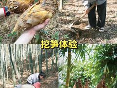 -龙寺生态园