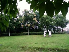 -九里河湿地公园