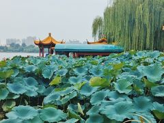 -济南大明湖景区