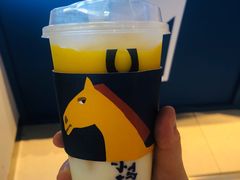 -春丽小马(济南恒隆广场店)