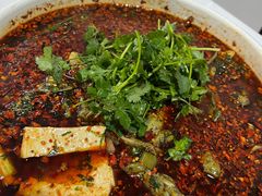 -陈胖子鱼庄(黄辣丁新津店)