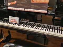 -柏斯琴行(汾阳店)