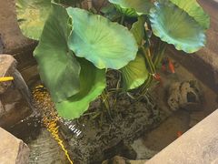 -灶东家民间菜(回兴店)