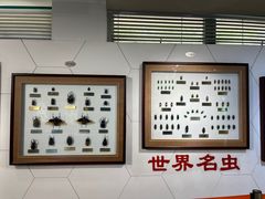 -上海昆虫博物馆