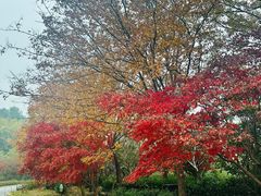 -旺山·浪头人家