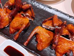 -侨美食家·粤菜(体育西路店)