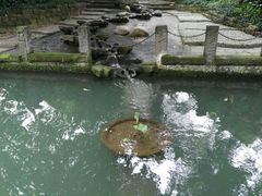 -成都市活水公园