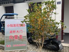-小陆莲花蟹园农家乐(莲花岛店)