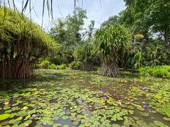 -中国科学院西双版纳热带植物园