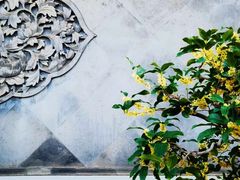 -颐和园