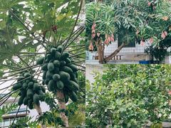 -三亚西岛海洋文化旅游区