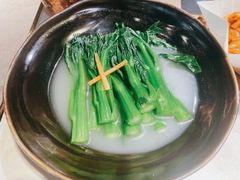 -点都德·毕德寮