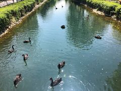 -长白岛森林公园