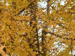 -首义路(地铁站)