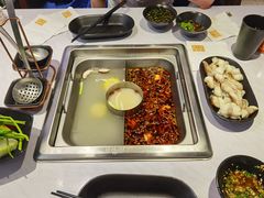 黑鱼鱼翅-新辣道鱼火锅(航天万源店)