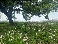 -南北湖风景区