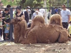 -长白岛森林公园