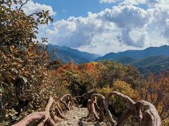 -玉渡山自然风景区