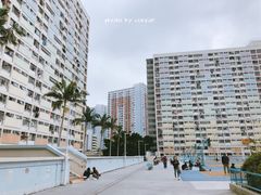 -彩虹村