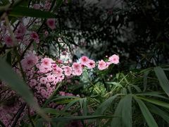 -佛图关公园