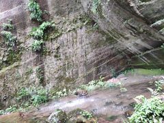 -川西竹海景区