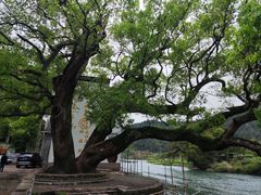 -上坦村