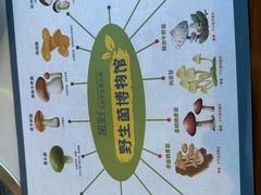 -菌彩云南野生菌火锅(呈贡七彩云南第壹城店)
