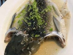 -御生皇·新天然居·顺德鱼生·顺德菜·广式早茶