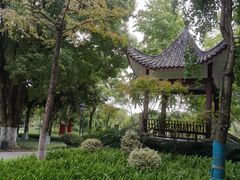 -大渡口区义渡公园