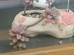 -御林汤泉