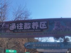 -大连森林动物园