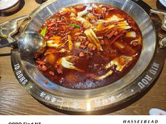 -受气牛肉·重庆耙牛肉(来福士店)