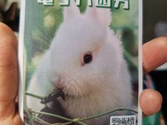 -秦皇岛野生动物园