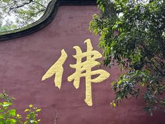 -乌山风景区