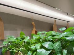 -汤城小厨•粤菜•靓汤(西直门凯德MALL店)