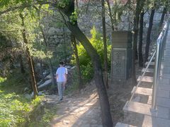 -阳台山自然风景区