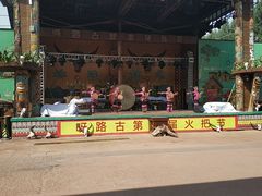 -呀路古热带植物园