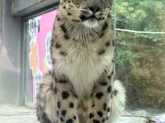 -青藏高原野生动物园