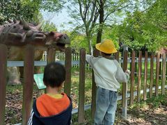 -上海海湾国家森林公园