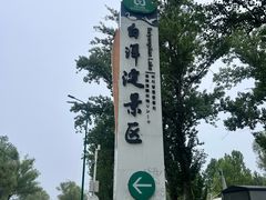 -白洋淀风景区