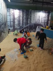 -恐龙探索乐园(磁器口店)